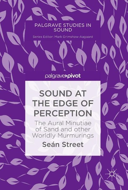 Sound at the Edge of Perception, Sean Street - Gebonden - 9789811316128