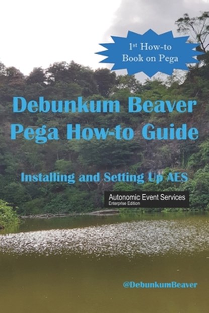 Debunkum Beaver How-to Guide: Installing and Testing AES, Jimmy J. C. - Paperback - 9789811413599