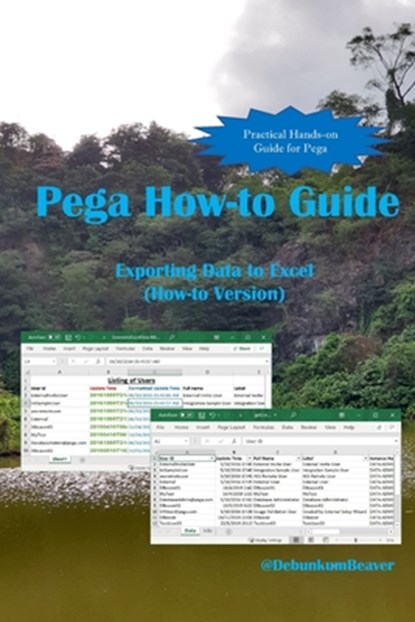 Pega How-to Guide: Exporting Data to Excel (How-to Version), Jimmy J. C. - Paperback - 9789811703119