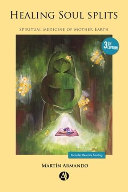 Healing Soul Splits, Martín Armando - Ebook - 9789878729152