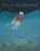 Little Mermaid, Anderson Hans Christian - Gebonden - 9789888240975