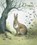 Forest Dream, A Imai - Gebonden - 9789888341641