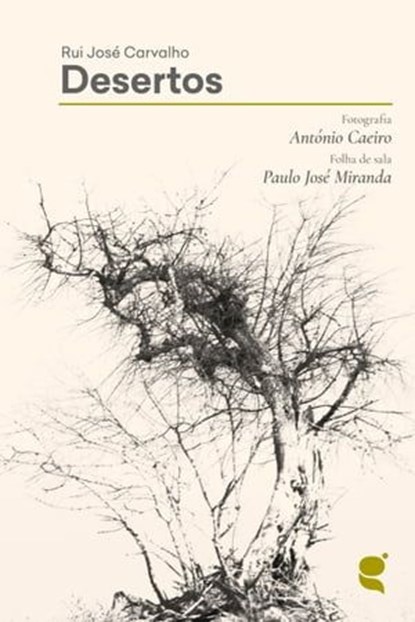 Desertos, Rui José Carvalho - Ebook - 9789898938466