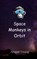 Space Monkeys in Orbit, Abigail Young - Paperback - 9789908011752