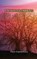 Enchanted Embrace, Thor Castlebury - Paperback - 9789916349946