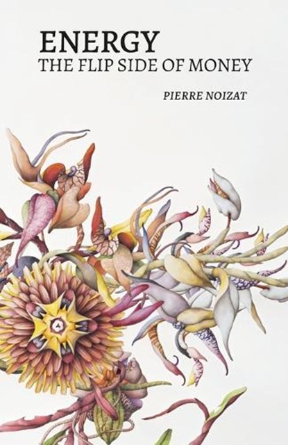 Energy, the flip side of money, Pierre Noizat - Paperback - 9789916749647