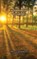Whispers of Wizardry, Thor Castlebury - Paperback - 9789916851166