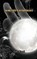 Sorcery's Symphony, Tim Wood - Paperback - 9789916851647
