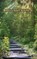 Spellcraft Sonnets, Tim Wood - Paperback - 9789916851944