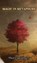 Magic in Metaphors, Thor Castlebury - Gebonden - 9789916852057