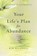 A Course in Abundance, Kim Michaels - Paperback - 9789949518593