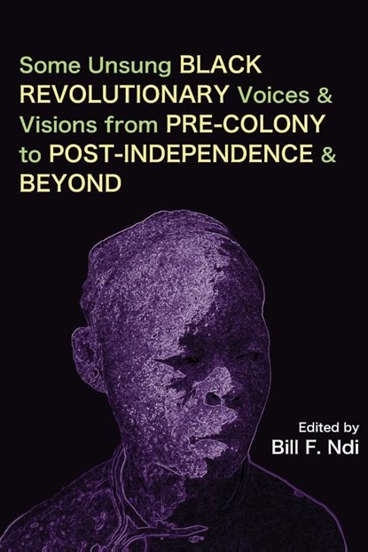 Some Unsung Black Revolutionary Voices and Visions from Pre-Colony to Post-Independence and Beyond, Bill F Ndi - Paperback - 9789956551118