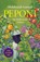 Peponi, Abdulrazak Gurnah - Paperback - 9789987449866