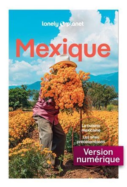Mexique 15ed, Lonely Planet - Ebook - 9791041600724