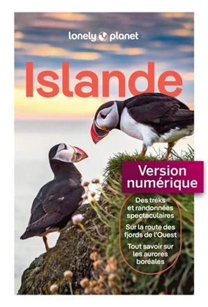 Islande 8ed, Lonely Planet - Ebook - 9791041601165