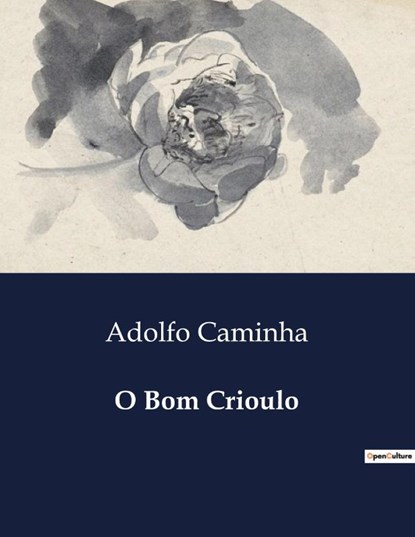 O Bom Crioulo, Adolfo Caminha - Paperback - 9791043108686