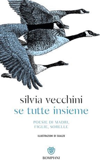 Se tutte insieme, Silvia Vecchini - Ebook - 9791221708523