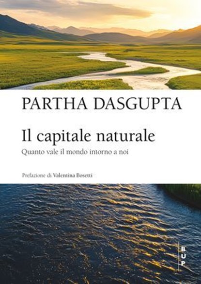 Il capitale naturale, Partha Dasgupta - Ebook - 9791222980362