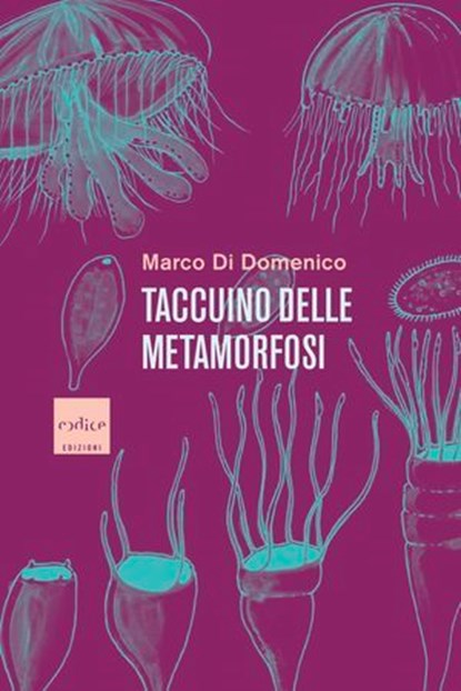 Taccuino delle metamorfosi, Marco Di Domenico - Ebook - 9791254500361