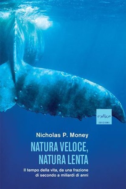 Natura veloce, natura lenta, Nicholas P. Money - Ebook - 9791254500613