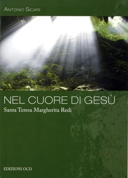 Nel Cuore di Gesù, Antonio Maria Sicari - Ebook - 9791254521007