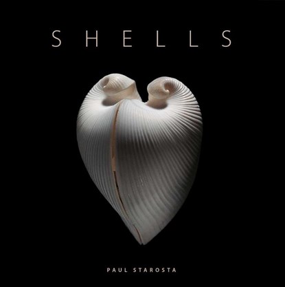 Shells, Paolo Portoghesi - Gebonden - 9791254600825