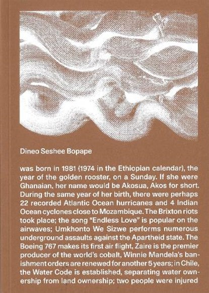 Dineo Seshee Bopape, Lucia Aspesi ; Fiammetta Griccioli - Paperback - 9791254630488