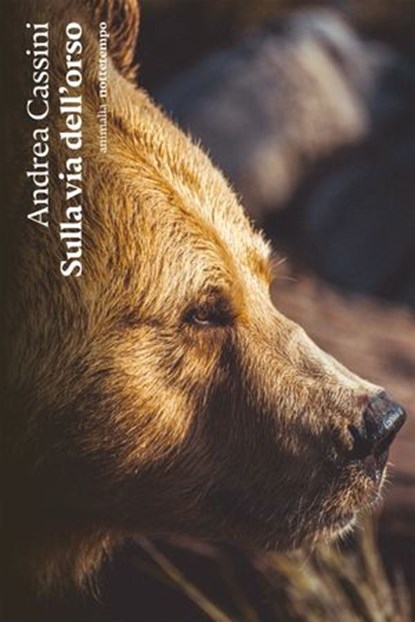 Sulla via dell'orso, Andrea Cassini - Ebook - 9791254802649