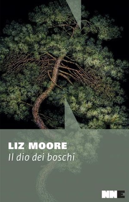 Il dio dei boschi, Liz Moore - Ebook - 9791255750680