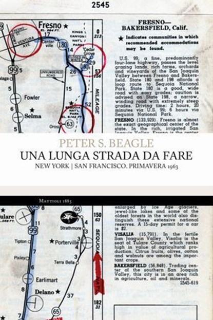 Una lunga strada da fare, Peter S. Beagle - Ebook - 9791256490738