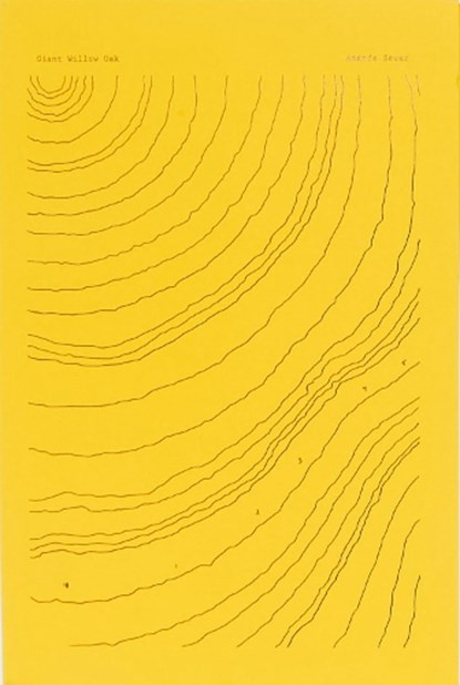 Giant Willow Oak, Amanda Sauer - Paperback - 9791280978158