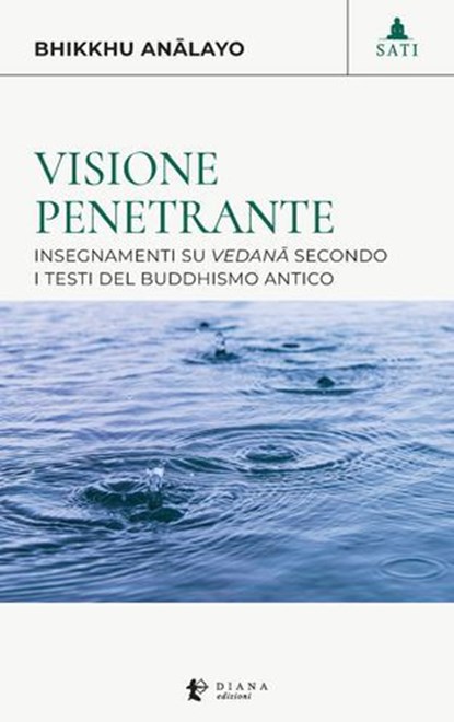 Visione penetrante, Anālayo Bhikkhu ; Giovanni Zappa ; Antonio Costanzo - Ebook - 9791281518339