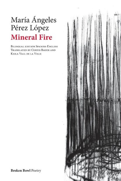 Mineral Fire, María Ángeles Pérez López - Paperback - 9791387604066