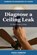 Diagnose a Ceiling Leak, Jason Stewart Hammond - Paperback - 9798195312671