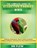 The Complete Guide to Eclectus Parrot Bird, Flew - Paperback - 9798195981464
