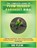 The Complete Guide to Plum Headed Parakeet Bird, Flew - Paperback - 9798196208195