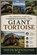 The Essential Guide to Understanding the Giant Tortoise, David Buffington - Paperback - 9798196400575