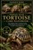 Indian Star Tortoise Care Handbook, Patrick Duke - Paperback - 9798196675393