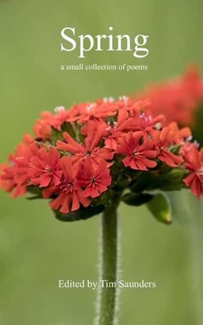 Spring, Tim Saunders - Paperback - 9798196955877