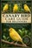 Canary Bird Care Guide for Beginners, James Hunter - Paperback - 9798197043887