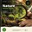Nature Science Words, Kala Montena - Paperback - 9798197371218