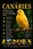 Canaries, William D Carter - Paperback - 9798197906038