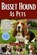 Basset Hound as Pets, Lawrence Nicholas - Paperback - 9798198700086