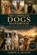 The Complete Dogs Handbook, Aaron A Dustin - Paperback - 9798199424134