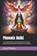 Phoenix Reiki, Beau James Thomas - Paperback - 9798199617086