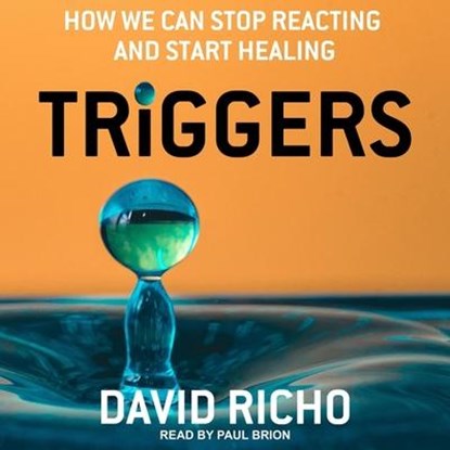 Triggers Lib/E: How We Can Stop Reacting and Start Healing, David Richo - AVM - 9798200213849