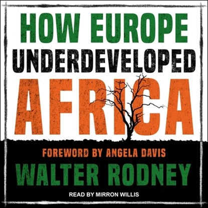 How Europe Underdeveloped Africa, Angela Y. Davis - AVM - 9798200428786