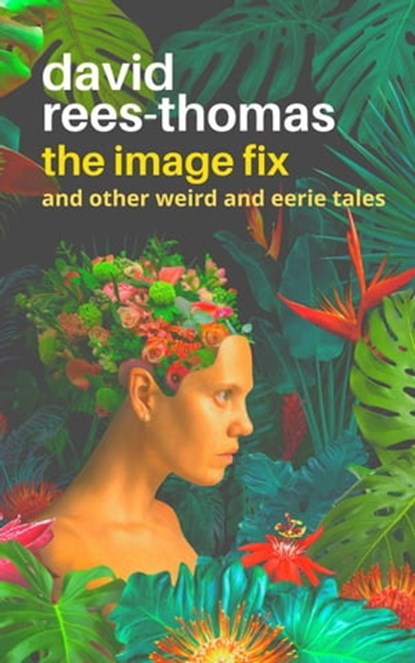 The Image Fix, David Rees-Thomas - Ebook - 9798201030582