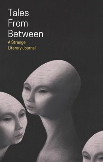 Tales From Between, Matthew Stott ; Ai Jiang ; Patrick Barb ; Christi Nogle ; Ivy Grimes ; Nikki R. Leigh ; Gemma Amor - Ebook - 9798201048471