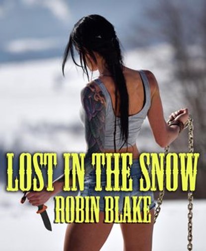 Lost In The Snow, Robin Blake - Ebook - 9798201052072